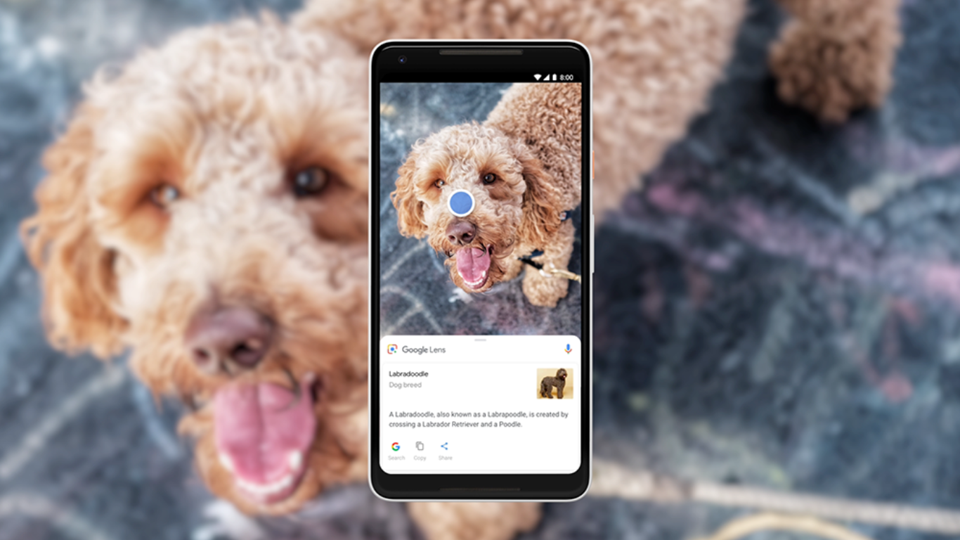 El futuro de Google Lens, Reverse Imagen Search y búsqueda por voz